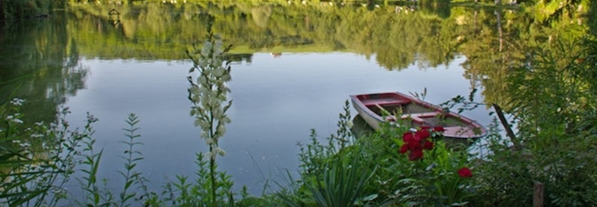 Fische aus eigener Zucht und Besatz!